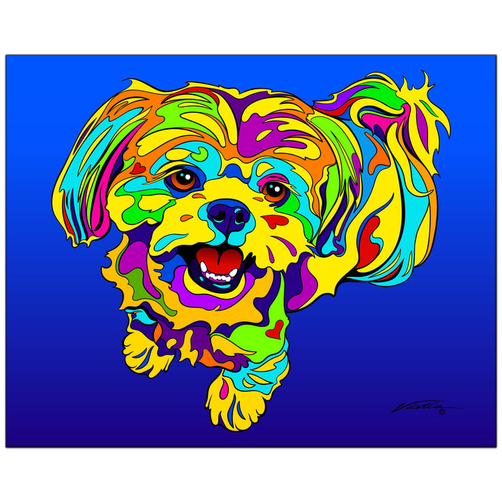Shih Tzu #2 on Metal from The Colorful World of Michael Vistia Image #2