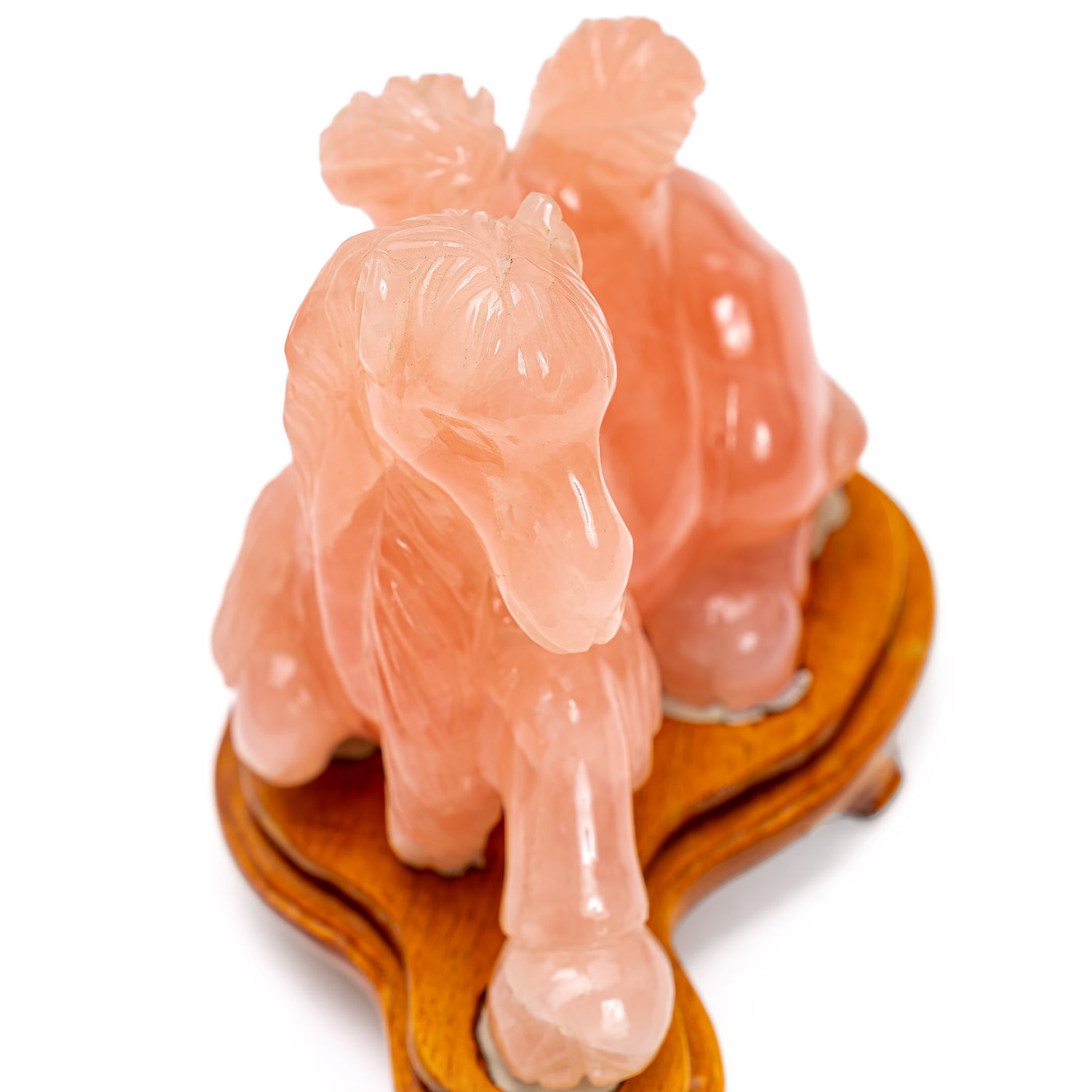 Rose Quartz Camel