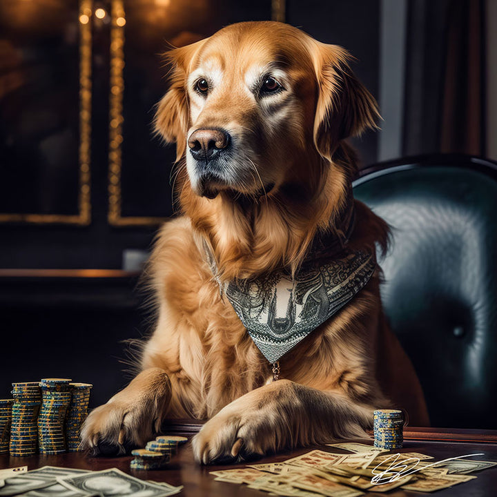 Retriever's Winning Wag