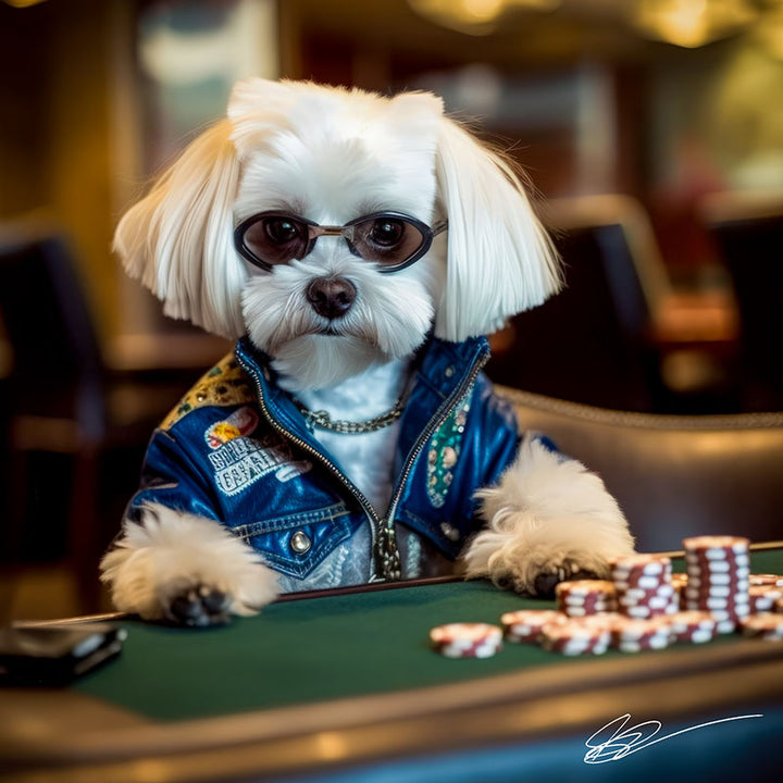 Petite Pooch Pokerface