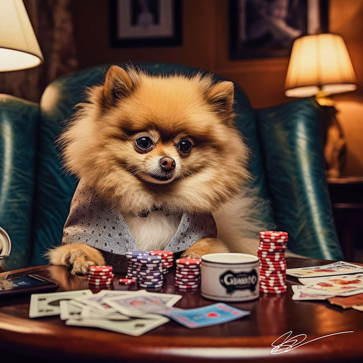 Pomeranian Payday