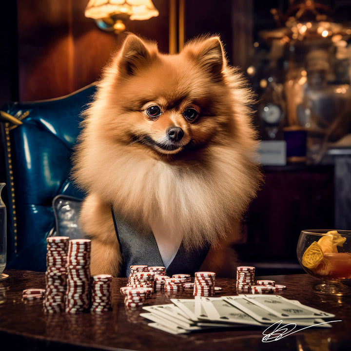 Pom's Bet & Bark