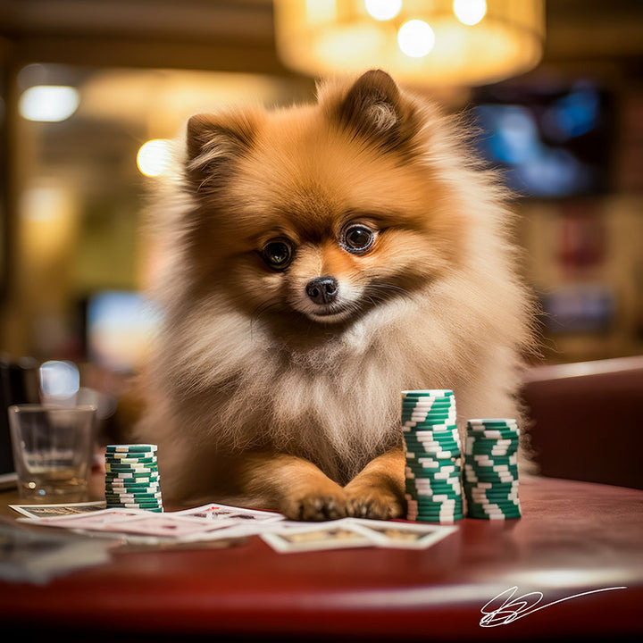 Pom's Vegas Vibe